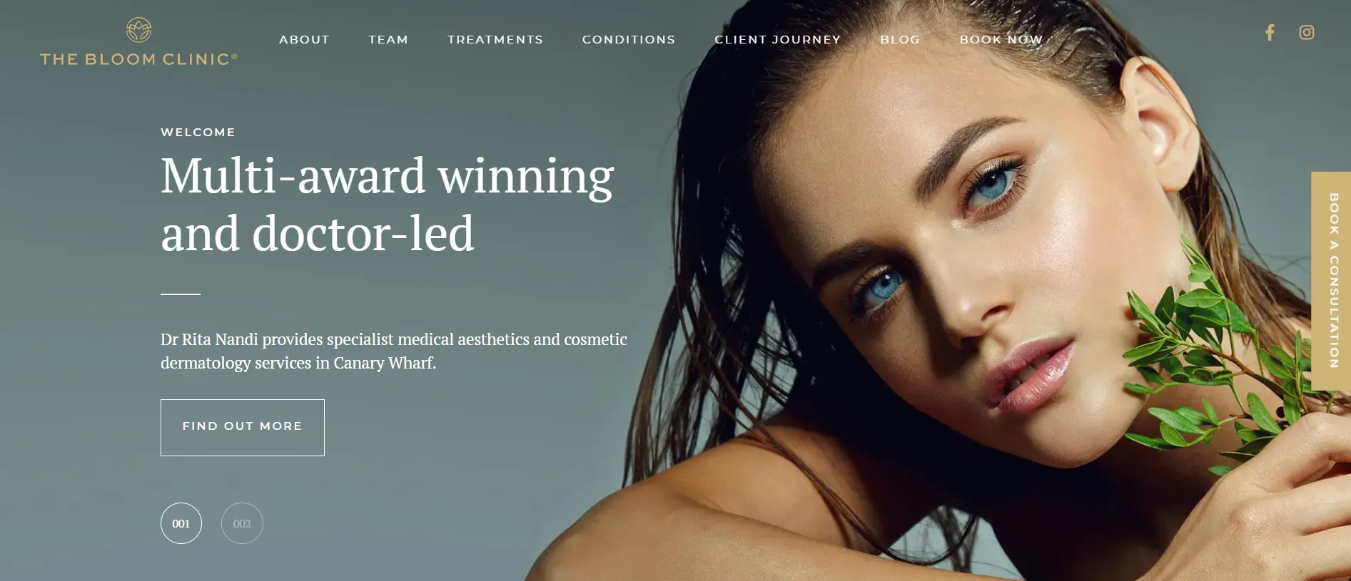 The Bloom Clinic main page