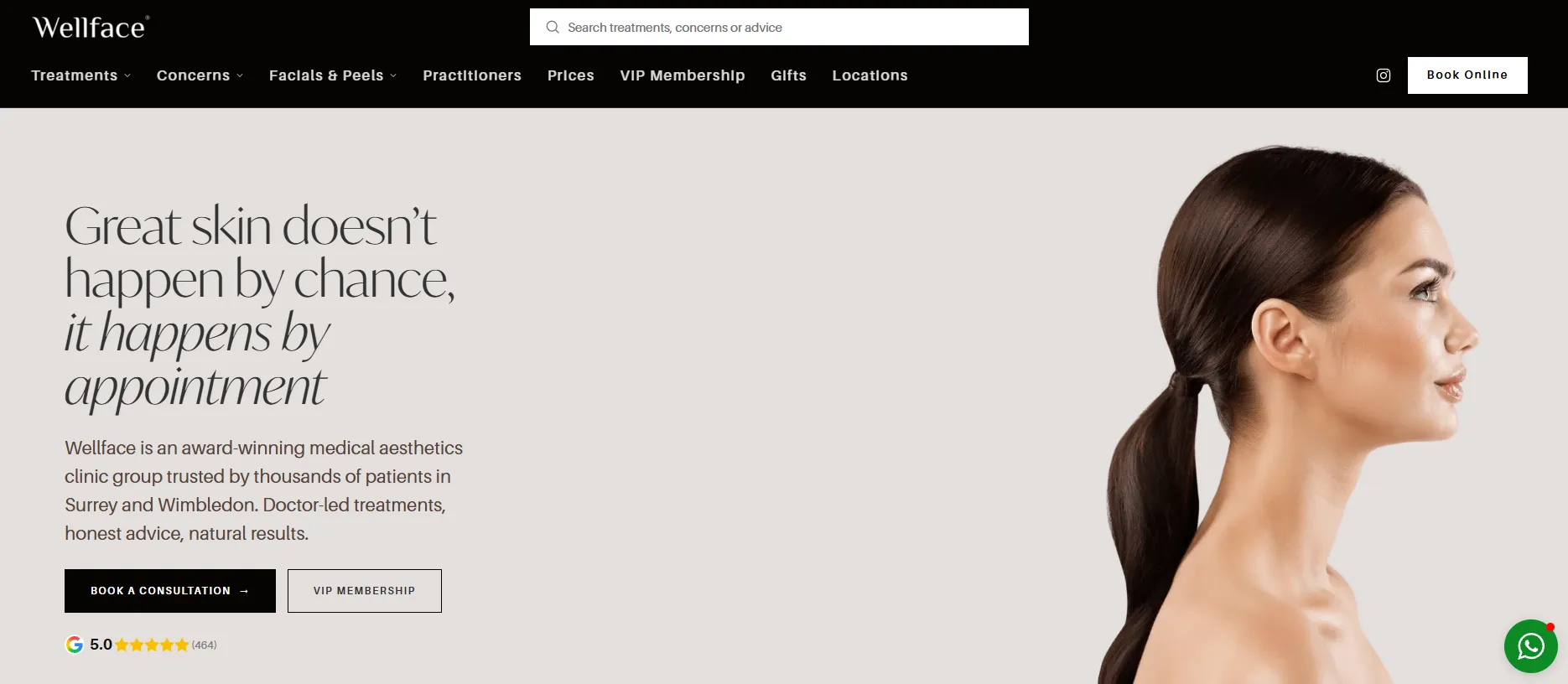 Wellface Aesthetics Clinic main page