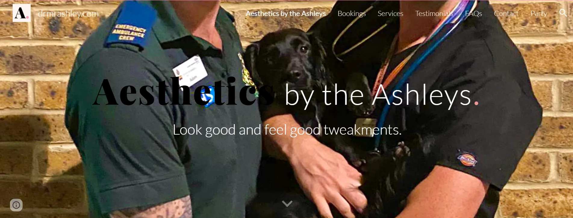 Aesthetics by The Ashleys main page