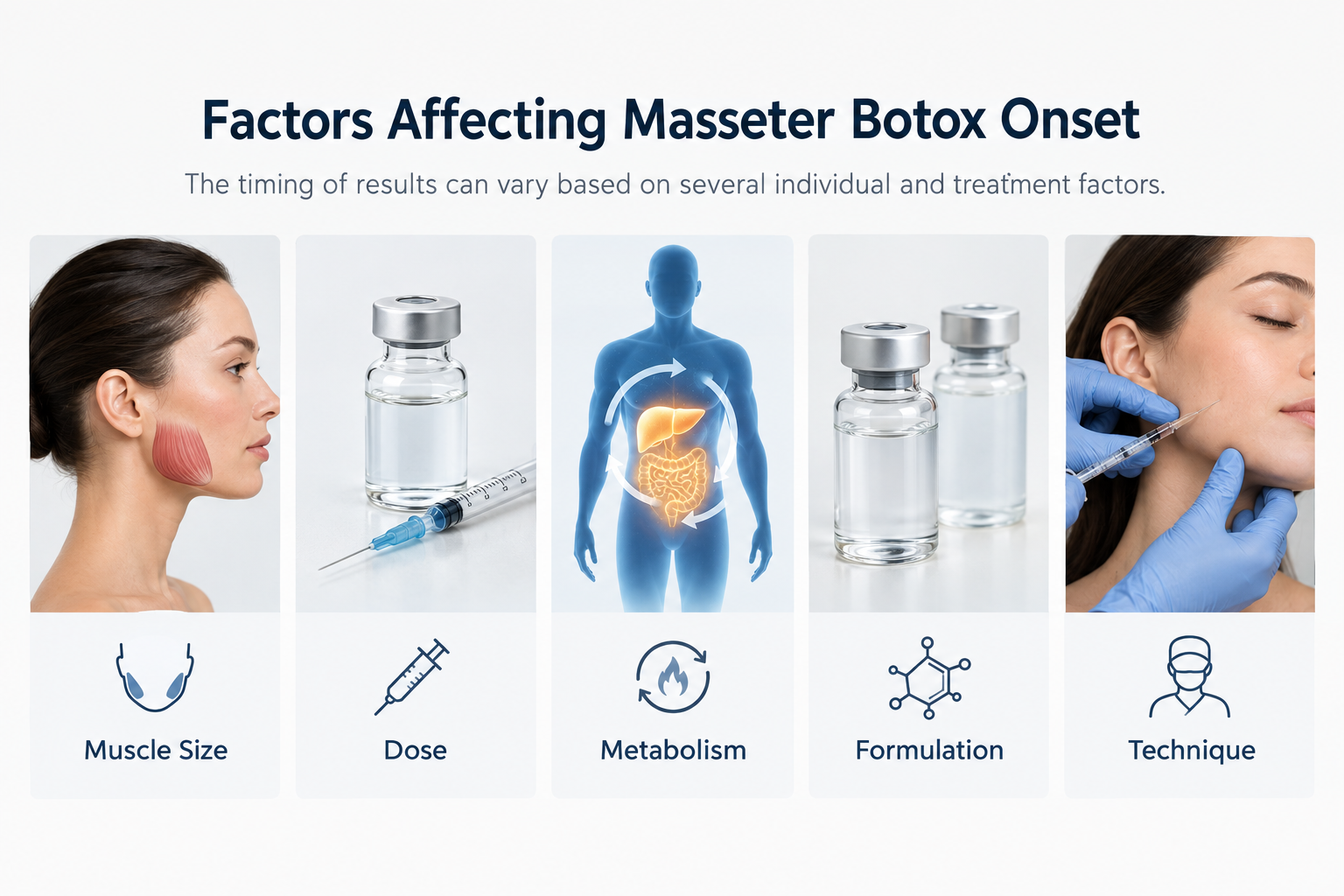 Factors affecting masseter Botox onset speed including muscle size dose and metabolism