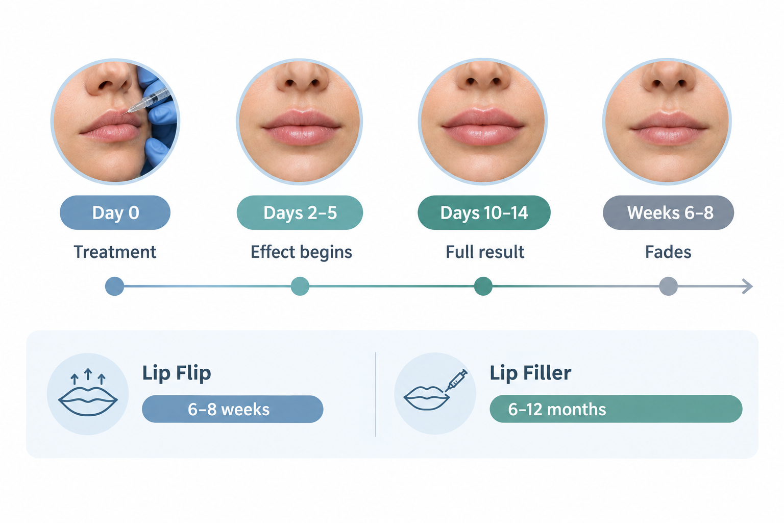 Timeline infographic showing lip flip results onset at 2 to 5 days and duration of 6 to 8 weeks